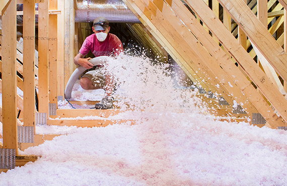 ویدرائزیشن